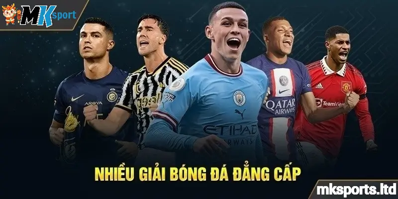 Cá Cược Tại Sảnh Thể Thao Nhà Cái Mksports